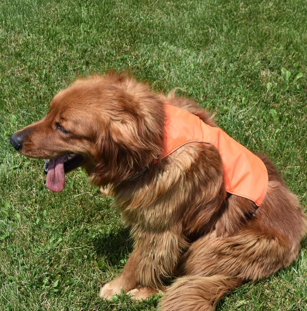 Dog Chest Protector Vest